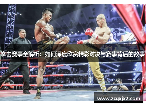 拳击赛事全解析：如何深度欣赏精彩对决与赛事背后的故事