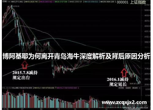 博阿基耶为何离开青岛海牛深度解析及背后原因分析