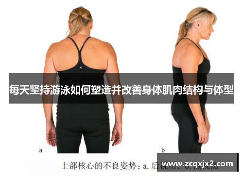 每天坚持游泳如何塑造并改善身体肌肉结构与体型