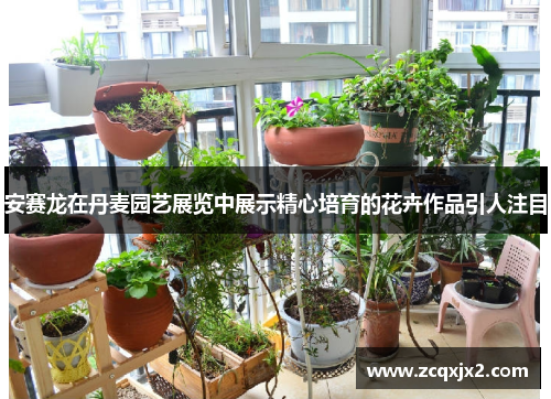 安赛龙在丹麦园艺展览中展示精心培育的花卉作品引人注目