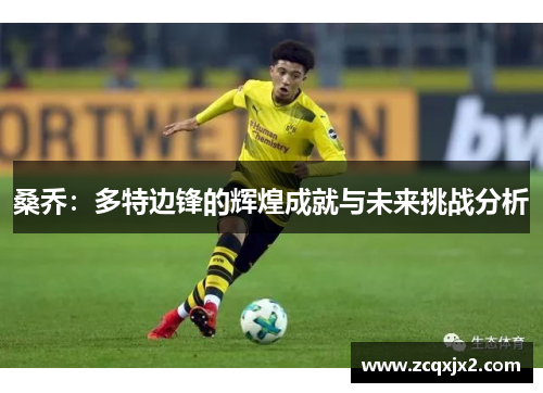 桑乔：多特边锋的辉煌成就与未来挑战分析